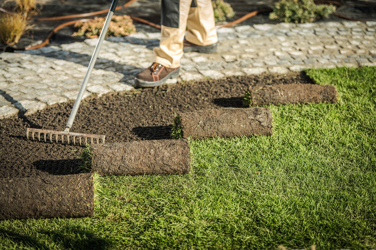 Replacing Natural Grass Turfs Replacing Natural Grass Turfs